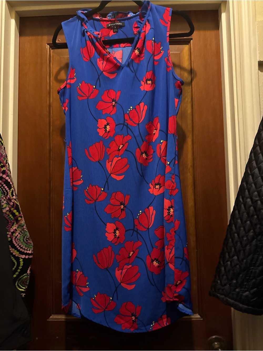 Hawthorne Blue and Red Floral Sleeveless Dress